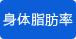 身體脂肪率測量 身體脂肪率測量